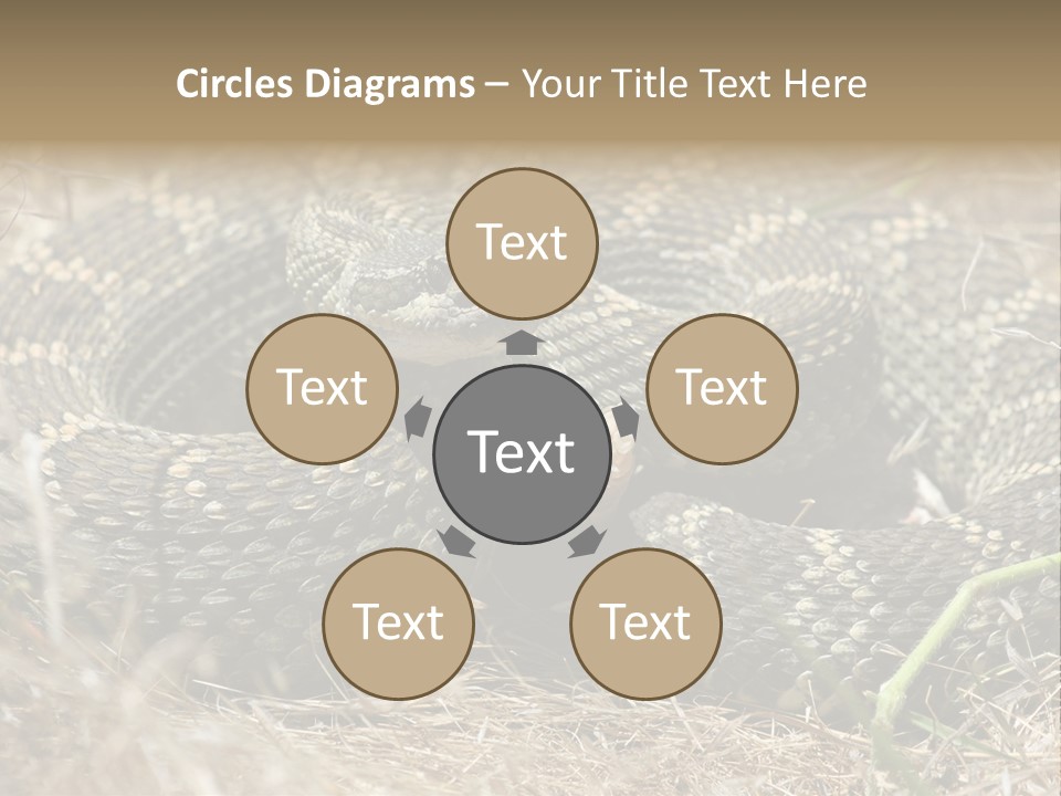 Scaly California Deadly PowerPoint Template