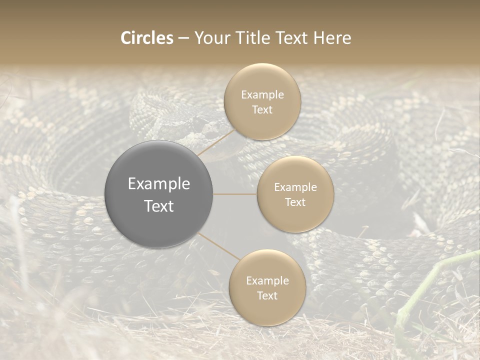 Scaly California Deadly PowerPoint Template