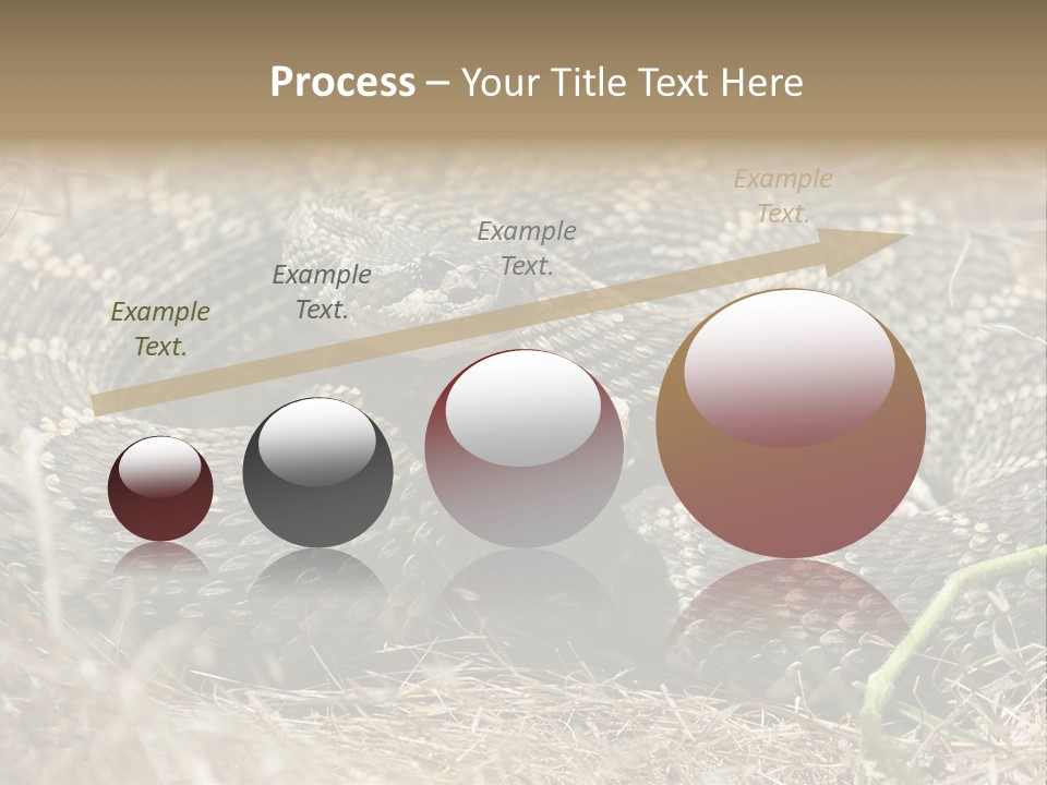 Scaly California Deadly PowerPoint Template