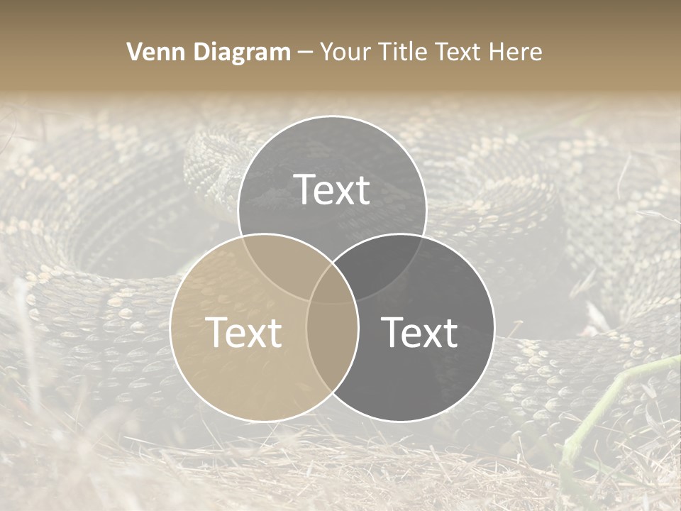 Scaly California Deadly PowerPoint Template