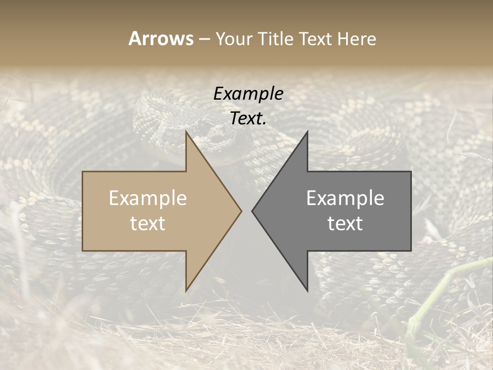 Scaly California Deadly PowerPoint Template