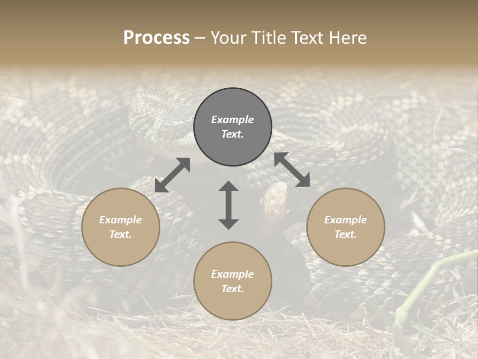 Scaly California Deadly PowerPoint Template