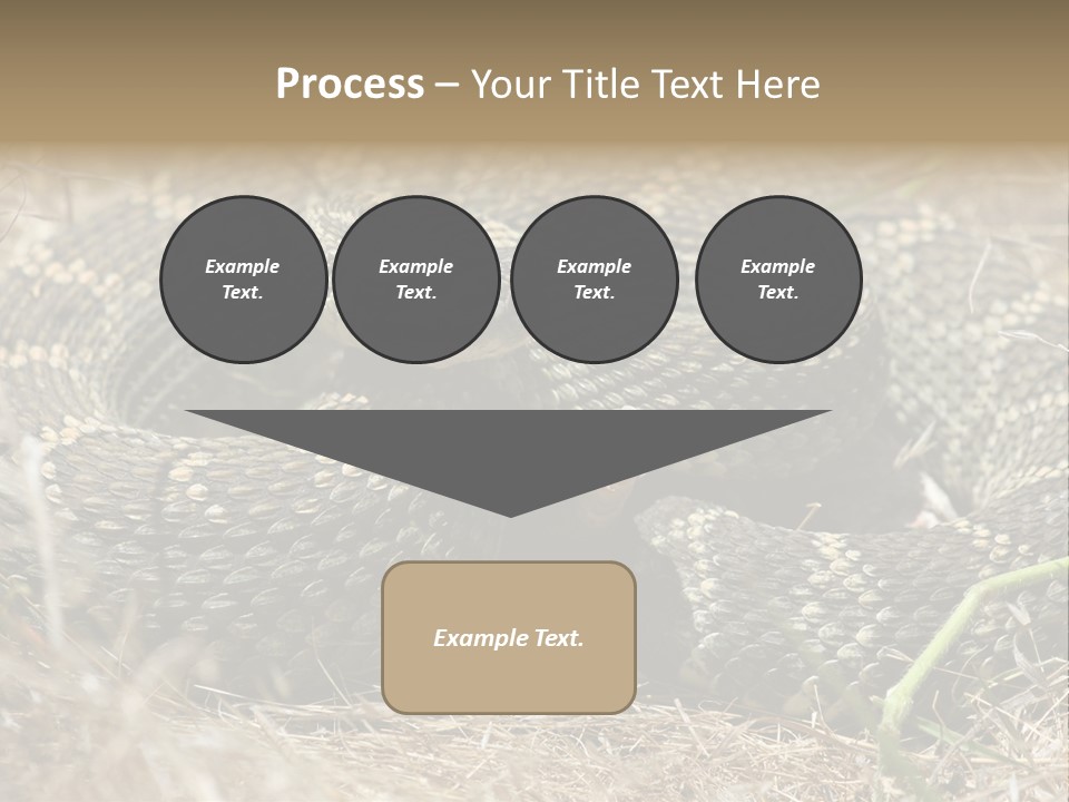 Scaly California Deadly PowerPoint Template