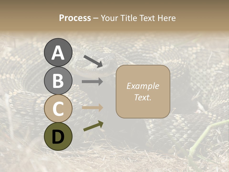 Scaly California Deadly PowerPoint Template