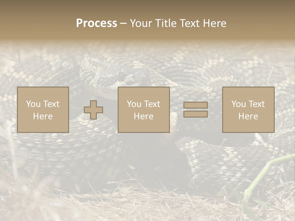 Scaly California Deadly PowerPoint Template