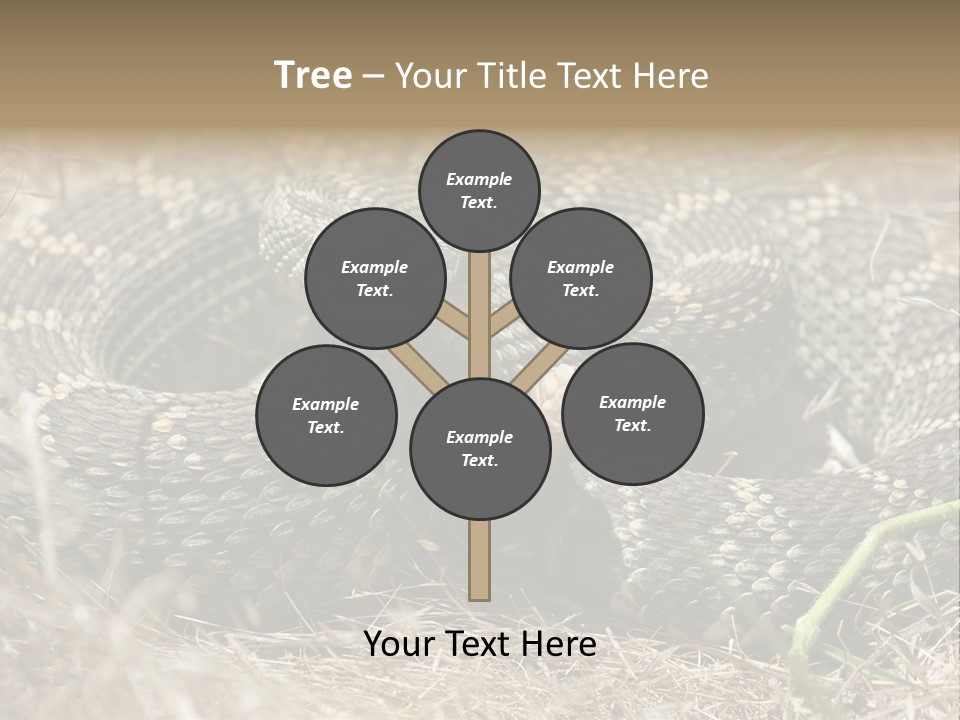 Scaly California Deadly PowerPoint Template