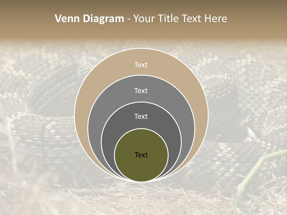 Scaly California Deadly PowerPoint Template