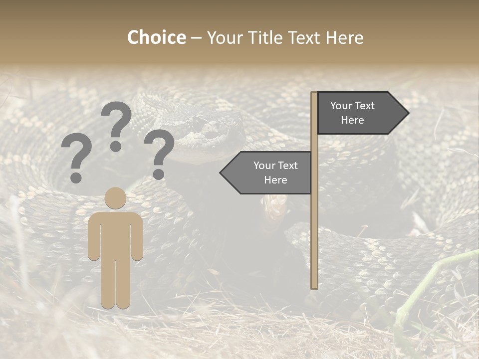 Scaly California Deadly PowerPoint Template