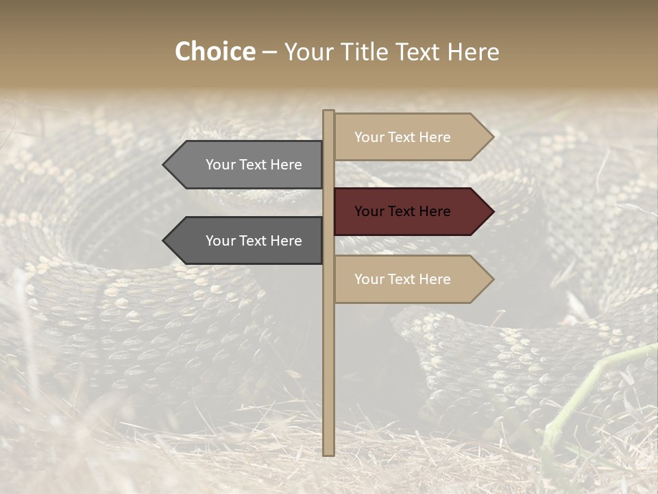 Scaly California Deadly PowerPoint Template