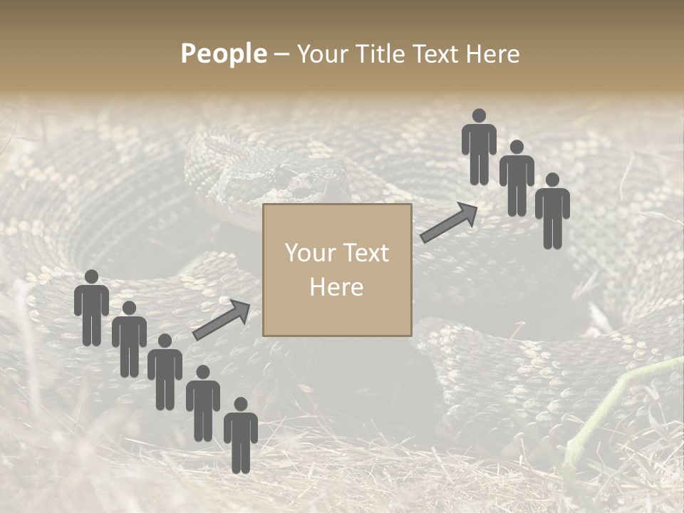 Scaly California Deadly PowerPoint Template