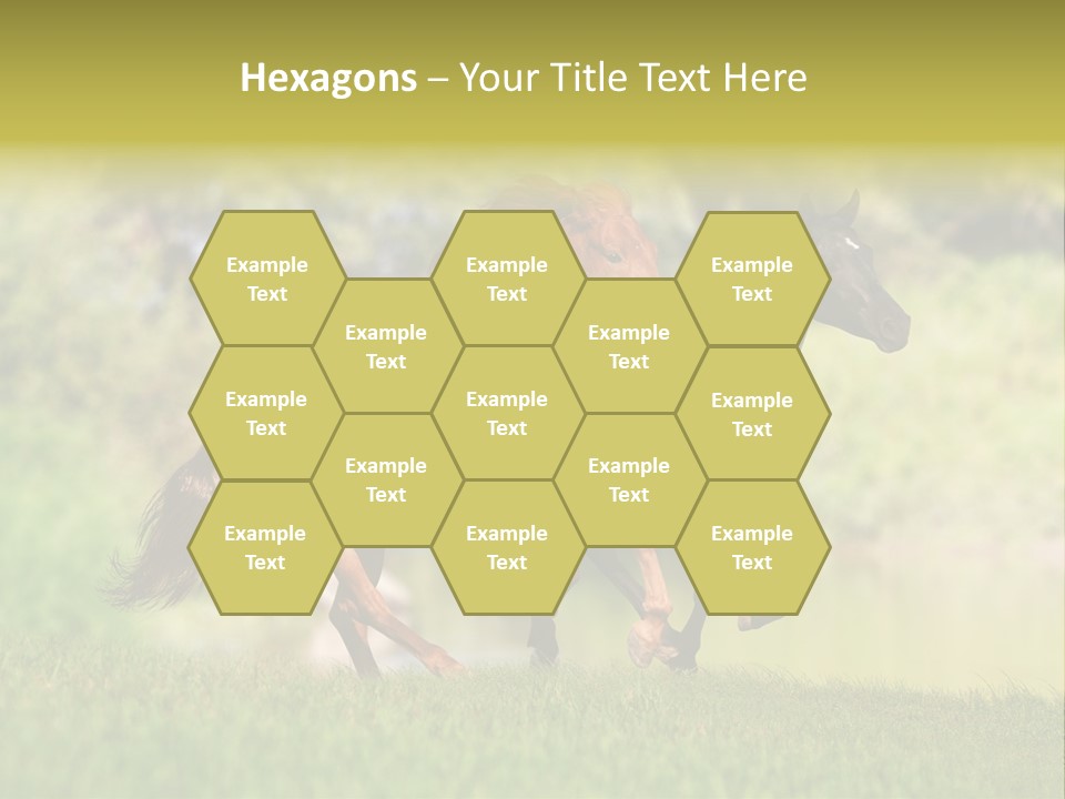 Mare Grass Brown PowerPoint Template