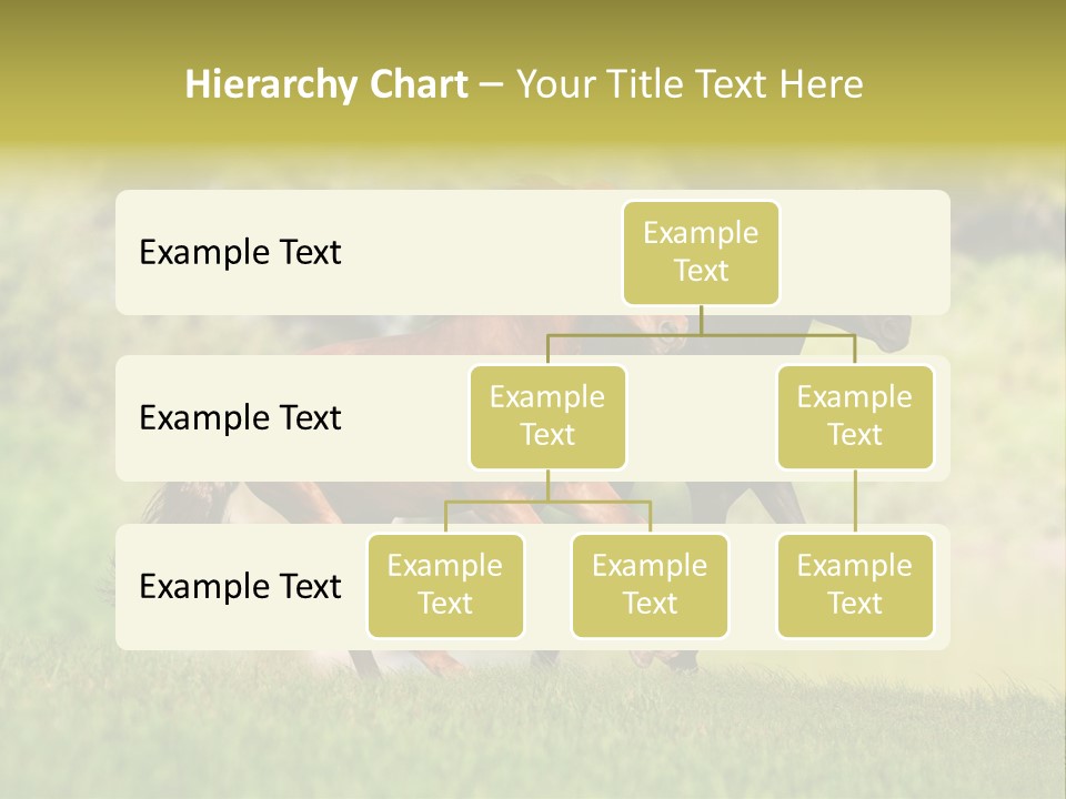 Mare Grass Brown PowerPoint Template