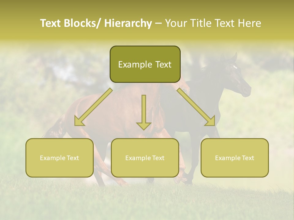 Mare Grass Brown PowerPoint Template