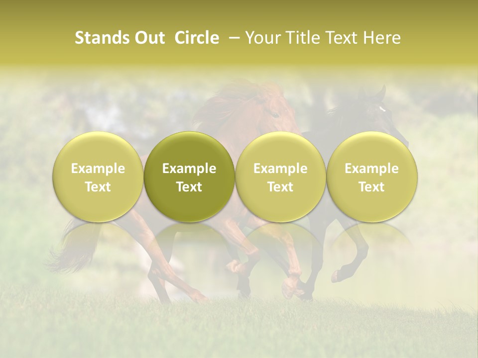 Mare Grass Brown PowerPoint Template