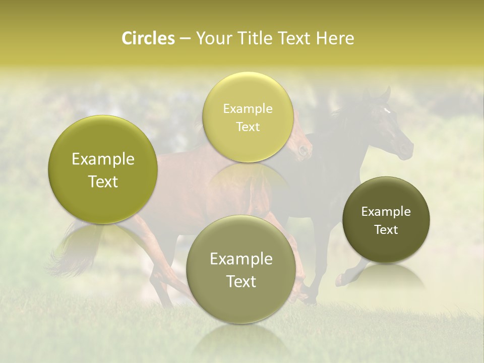 Mare Grass Brown PowerPoint Template