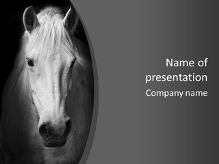 Grey Portrait Outside PowerPoint Template