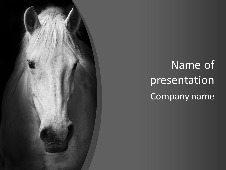 Grey Portrait Outside PowerPoint Template