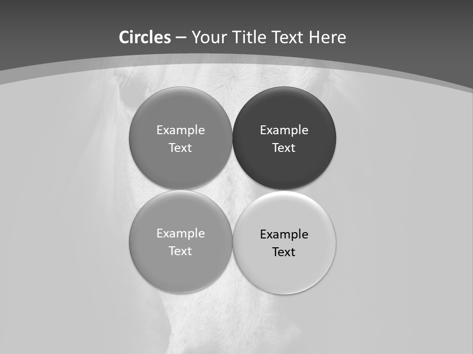 Grey Portrait Outside PowerPoint Template