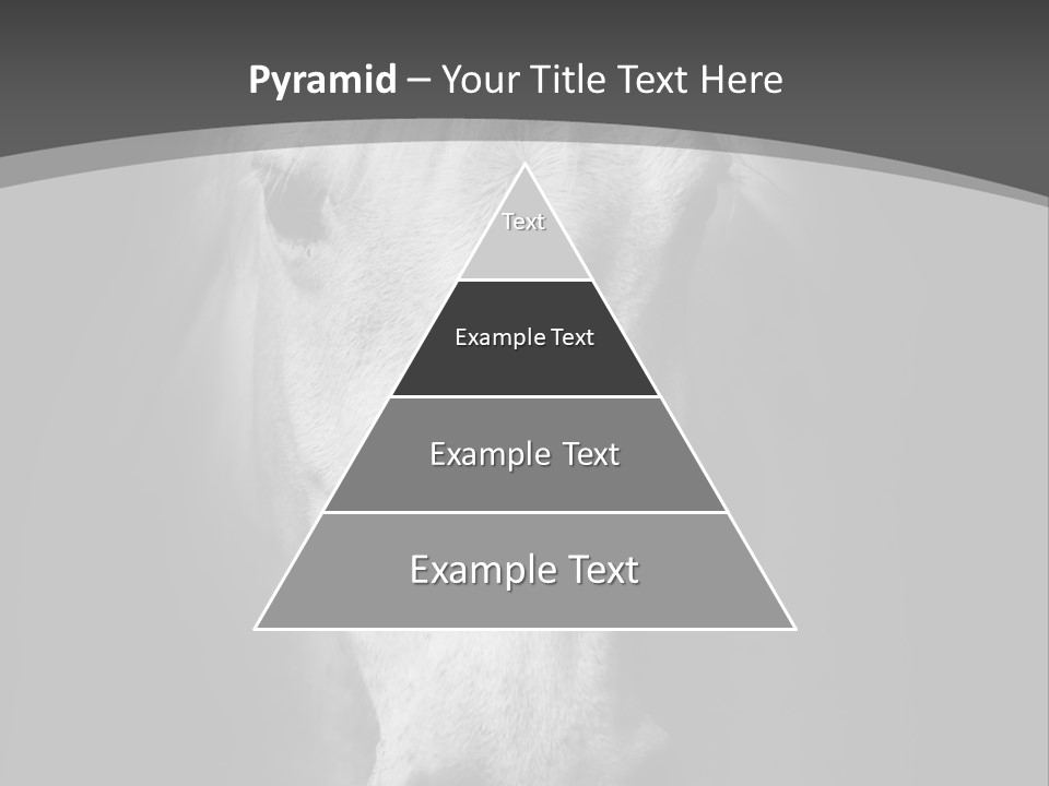 Grey Portrait Outside PowerPoint Template