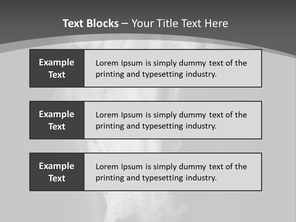 Grey Portrait Outside PowerPoint Template