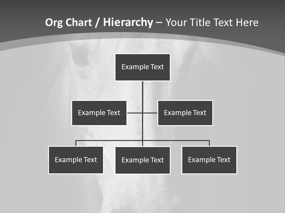 Grey Portrait Outside PowerPoint Template