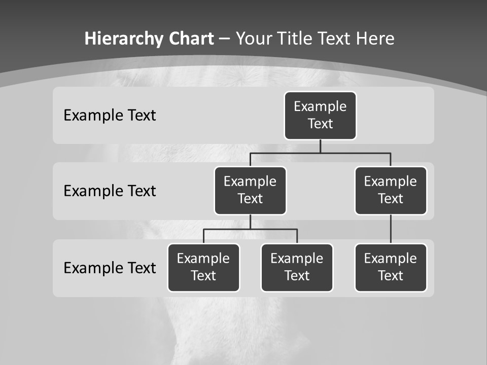 Grey Portrait Outside PowerPoint Template