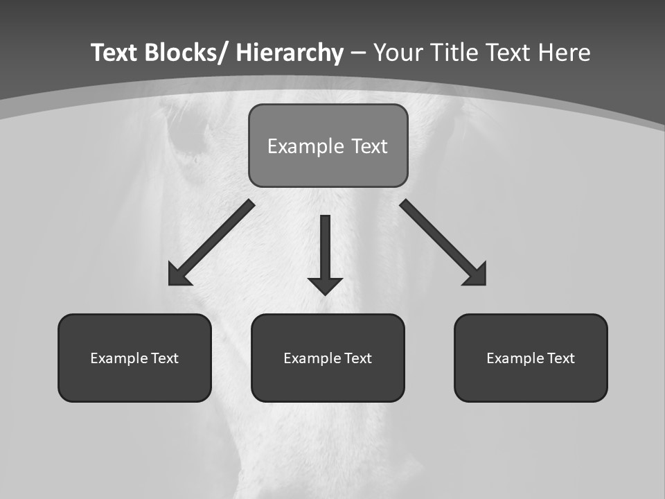 Grey Portrait Outside PowerPoint Template