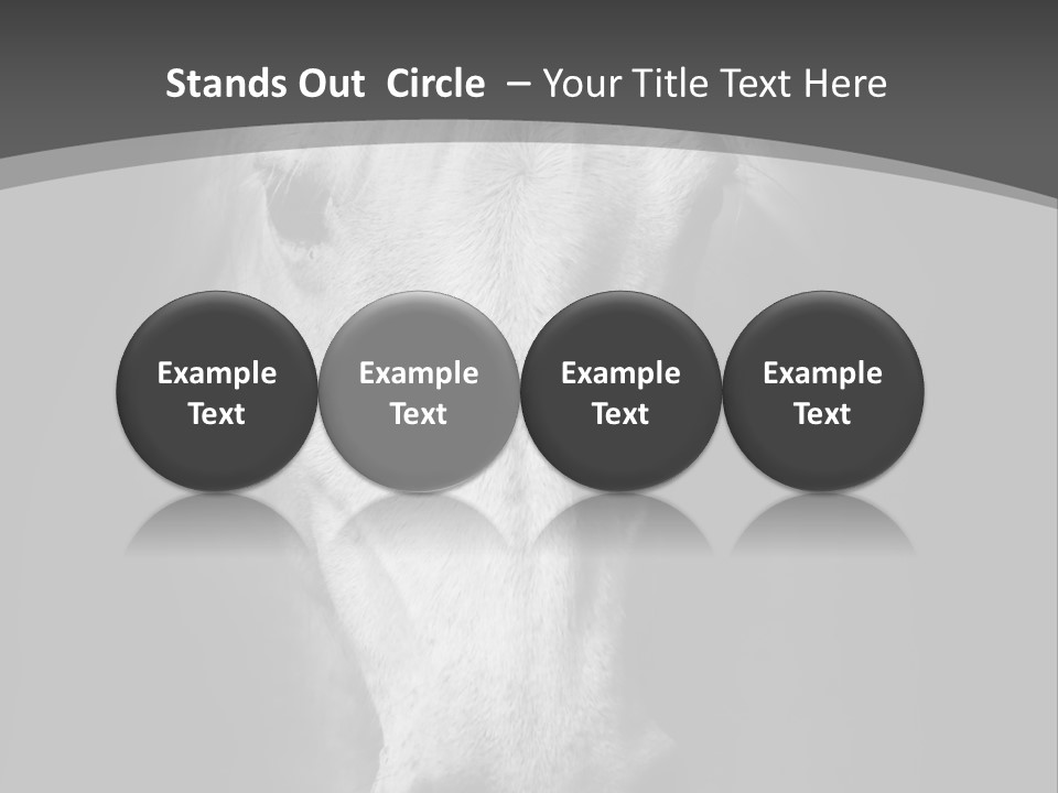 Grey Portrait Outside PowerPoint Template