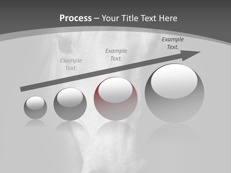 Grey Portrait Outside PowerPoint Template