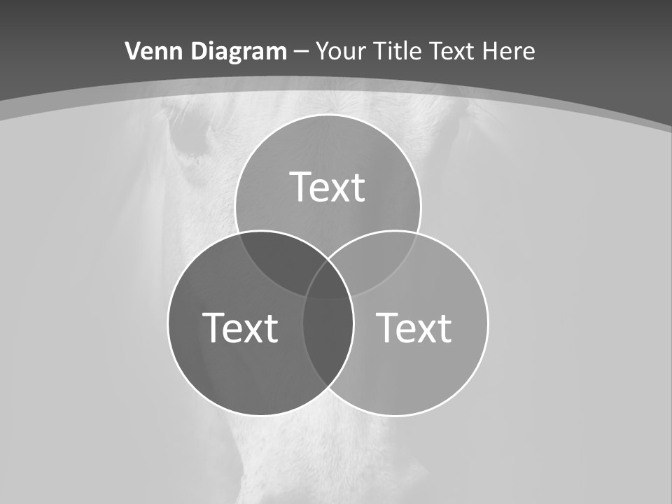 Grey Portrait Outside PowerPoint Template