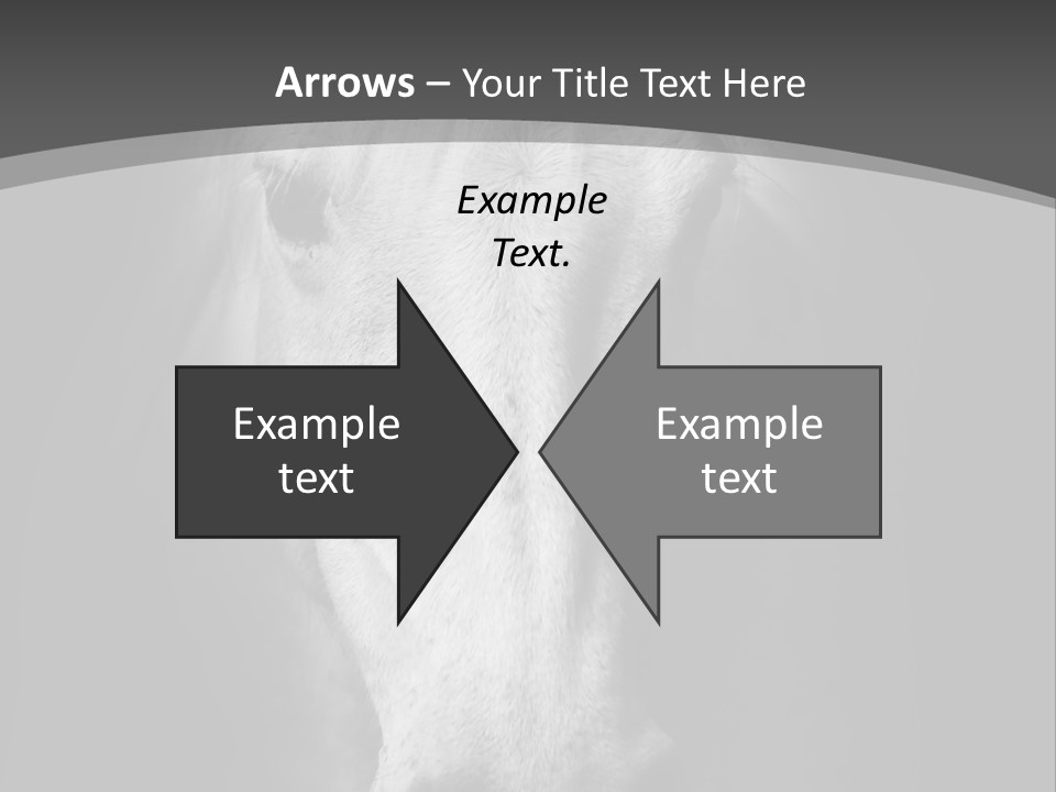 Grey Portrait Outside PowerPoint Template