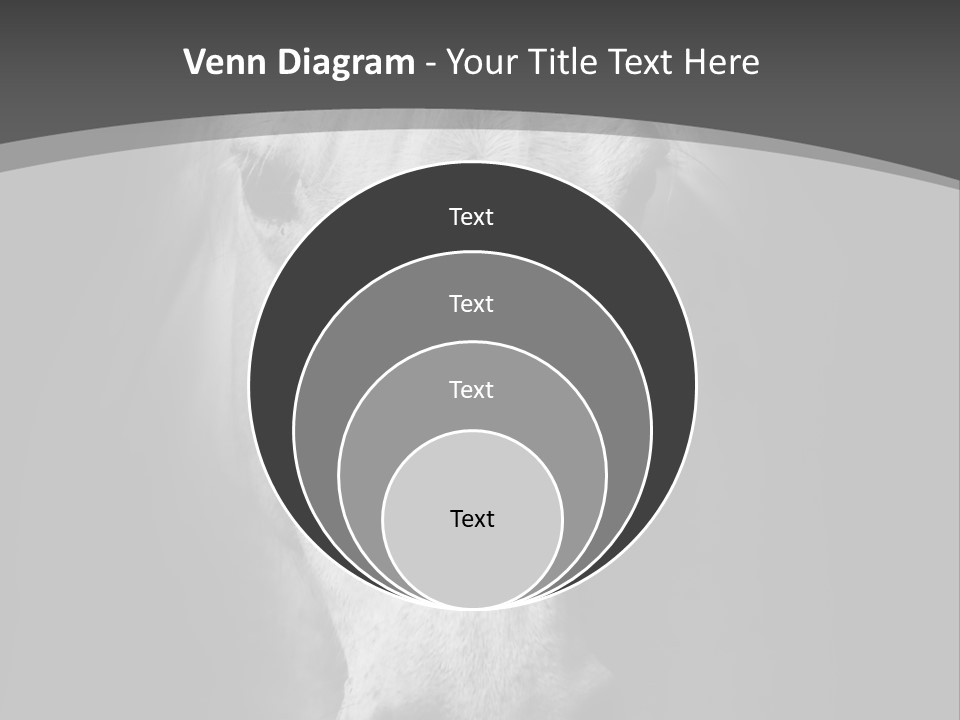 Grey Portrait Outside PowerPoint Template