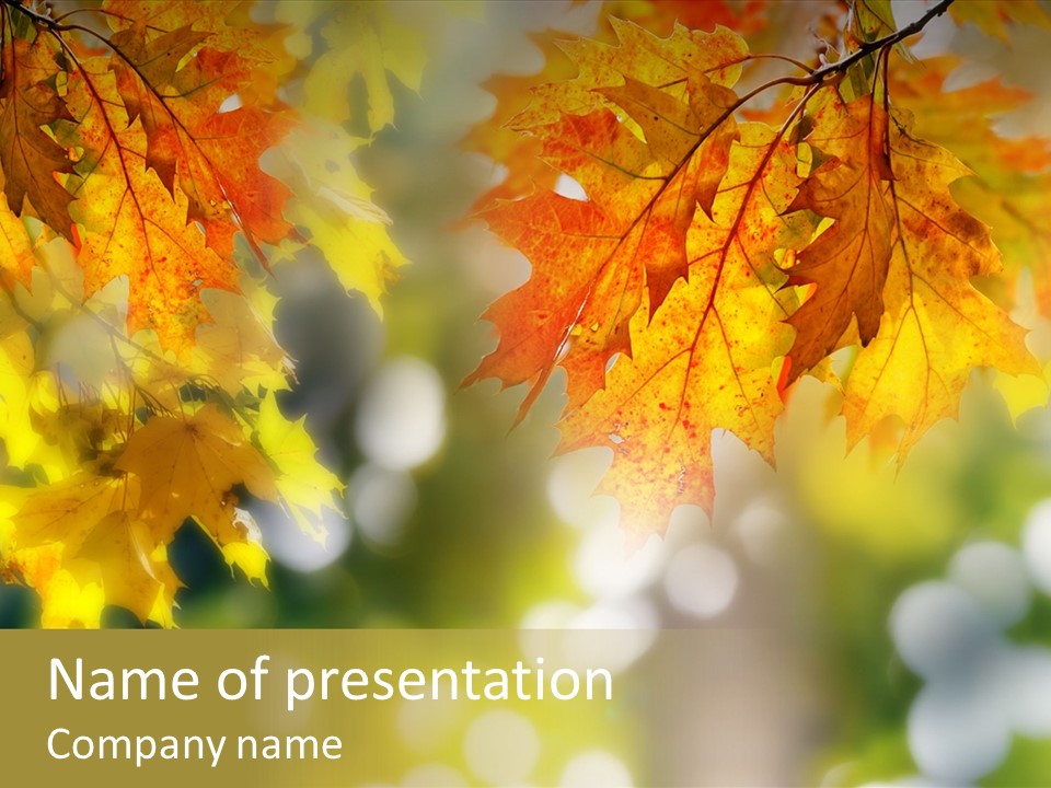 Foliage Day Outdoor PowerPoint Template