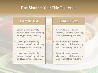 Dish Carrot Bean PowerPoint Template