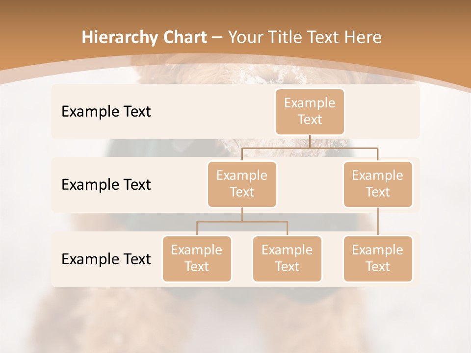 Brown Snow Playful PowerPoint Template