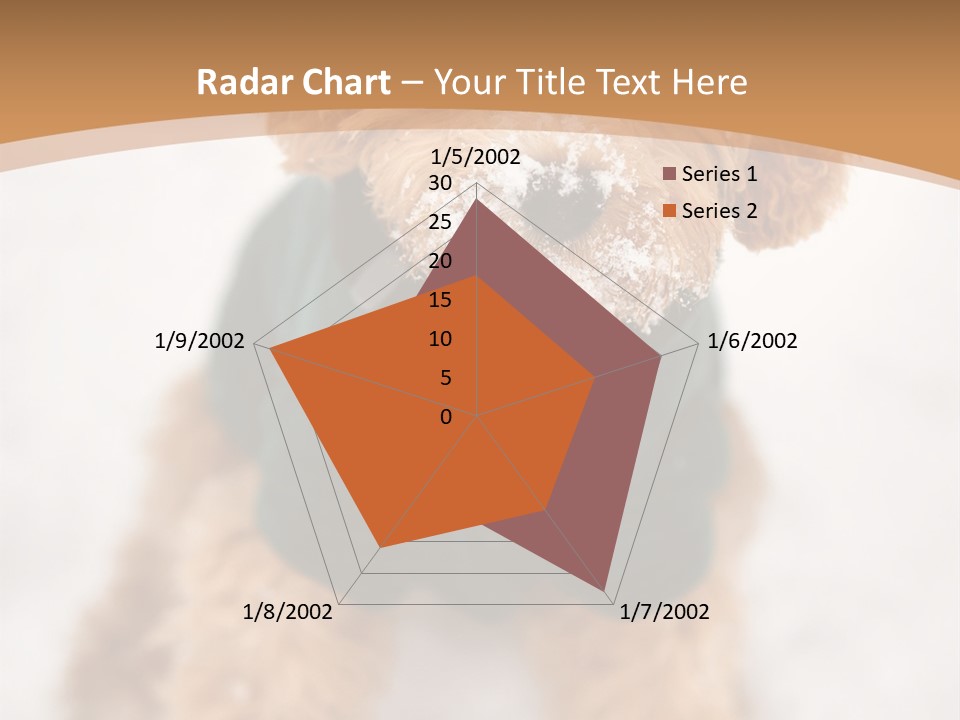 Brown Snow Playful PowerPoint Template