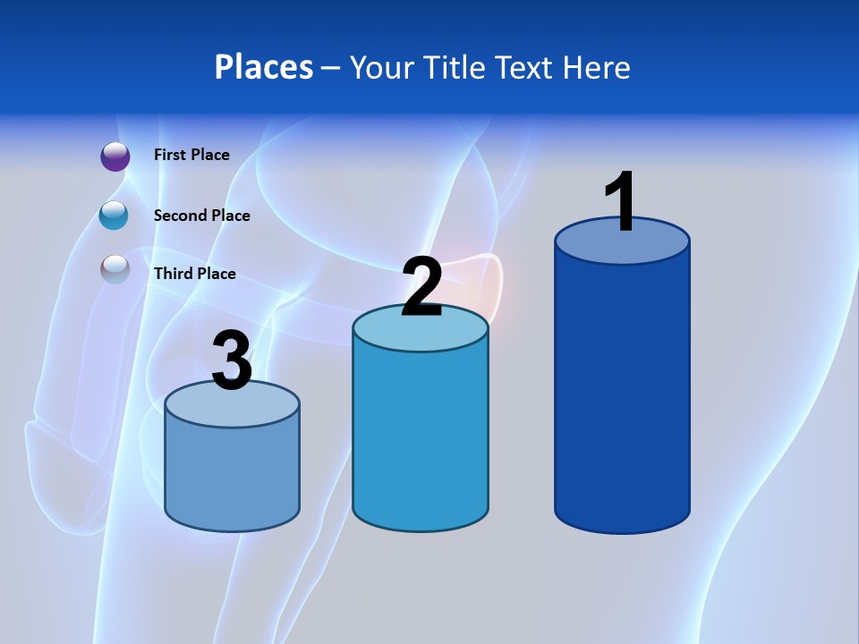 Birth Anatomical Frontal PowerPoint Template