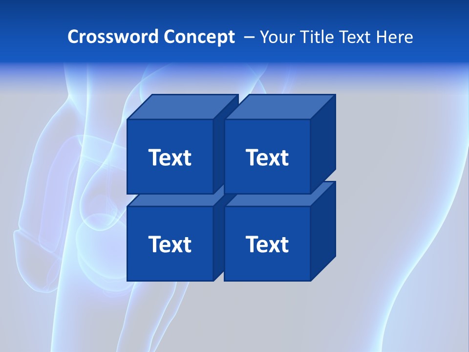 Birth Anatomical Frontal PowerPoint Template