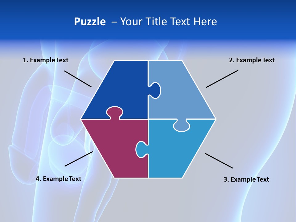 Birth Anatomical Frontal PowerPoint Template