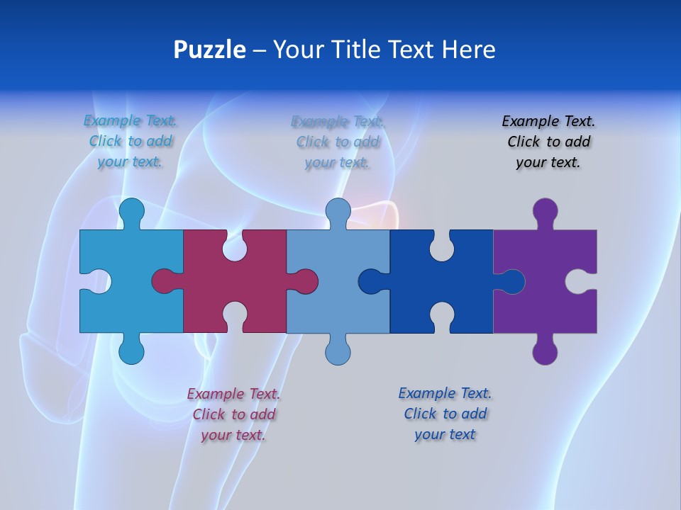 Birth Anatomical Frontal PowerPoint Template