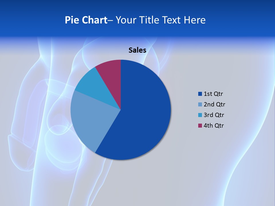Birth Anatomical Frontal PowerPoint Template