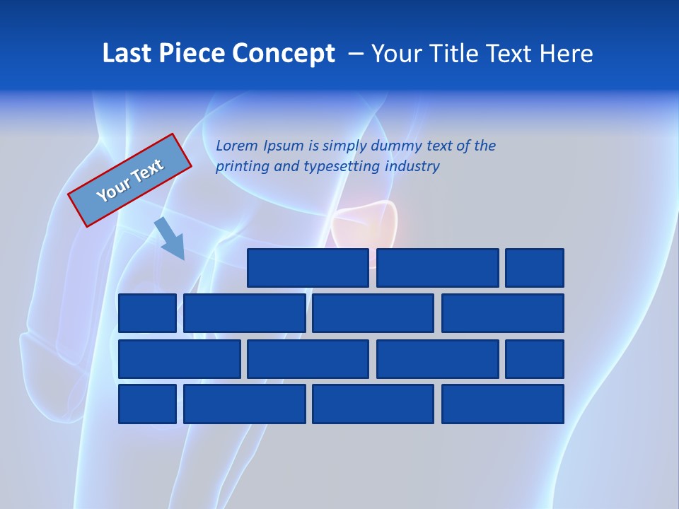 Birth Anatomical Frontal PowerPoint Template