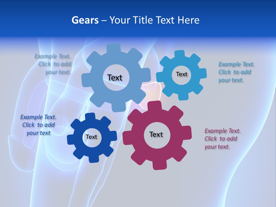 Birth Anatomical Frontal PowerPoint Template