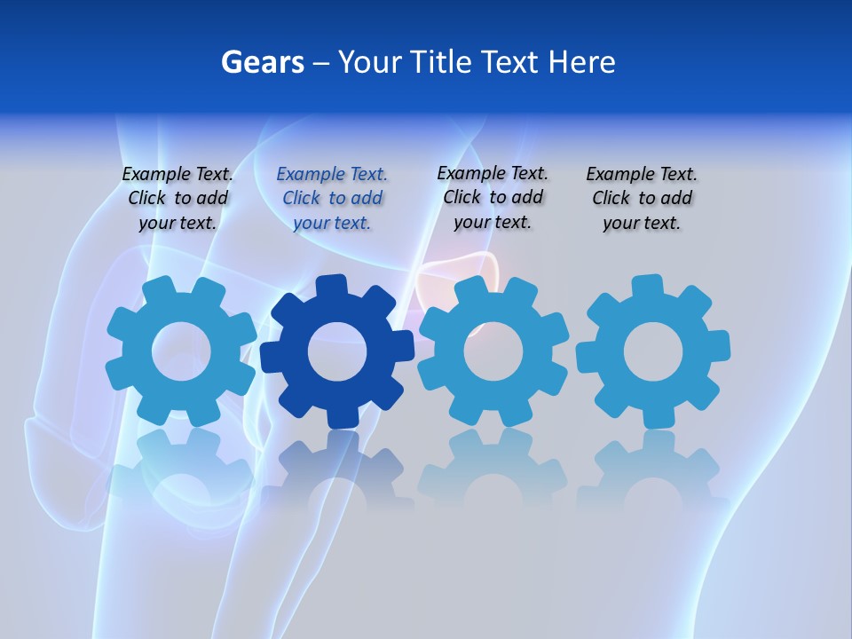 Birth Anatomical Frontal PowerPoint Template