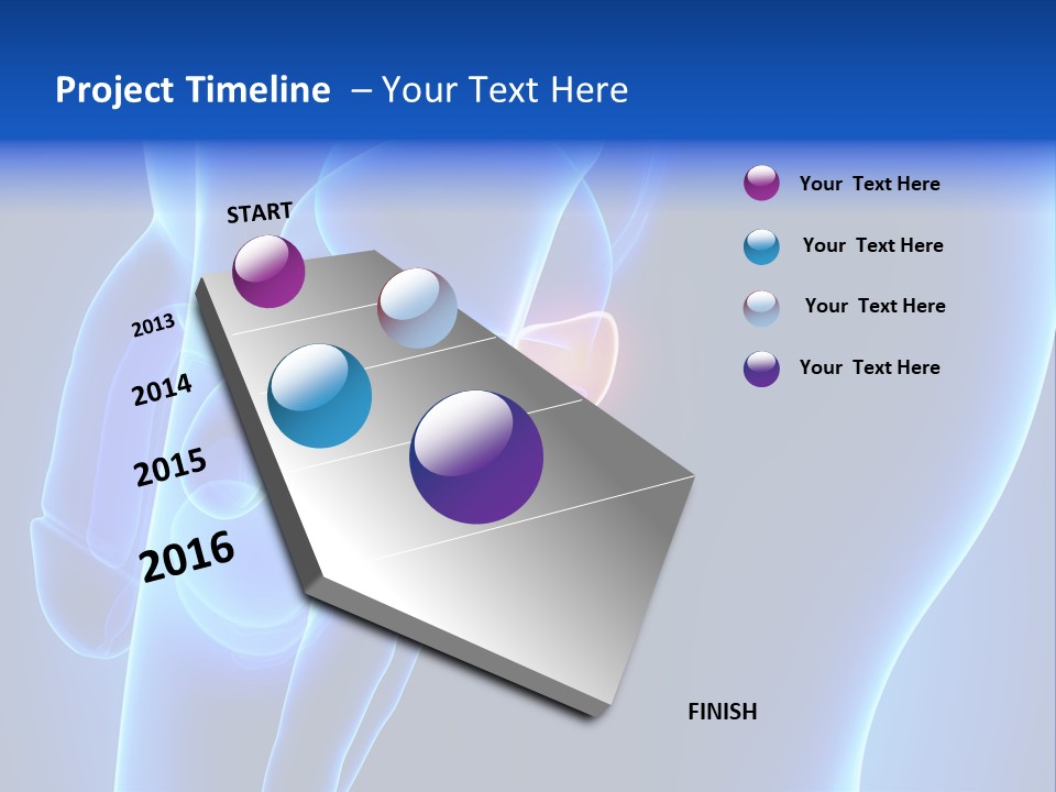 Birth Anatomical Frontal PowerPoint Template