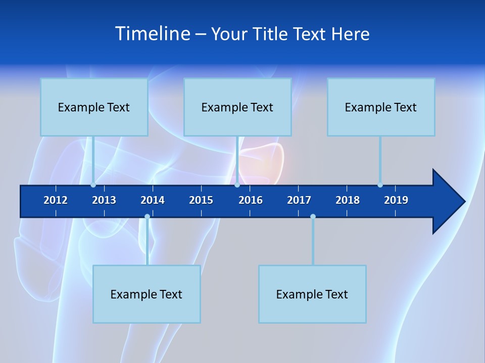 Birth Anatomical Frontal PowerPoint Template