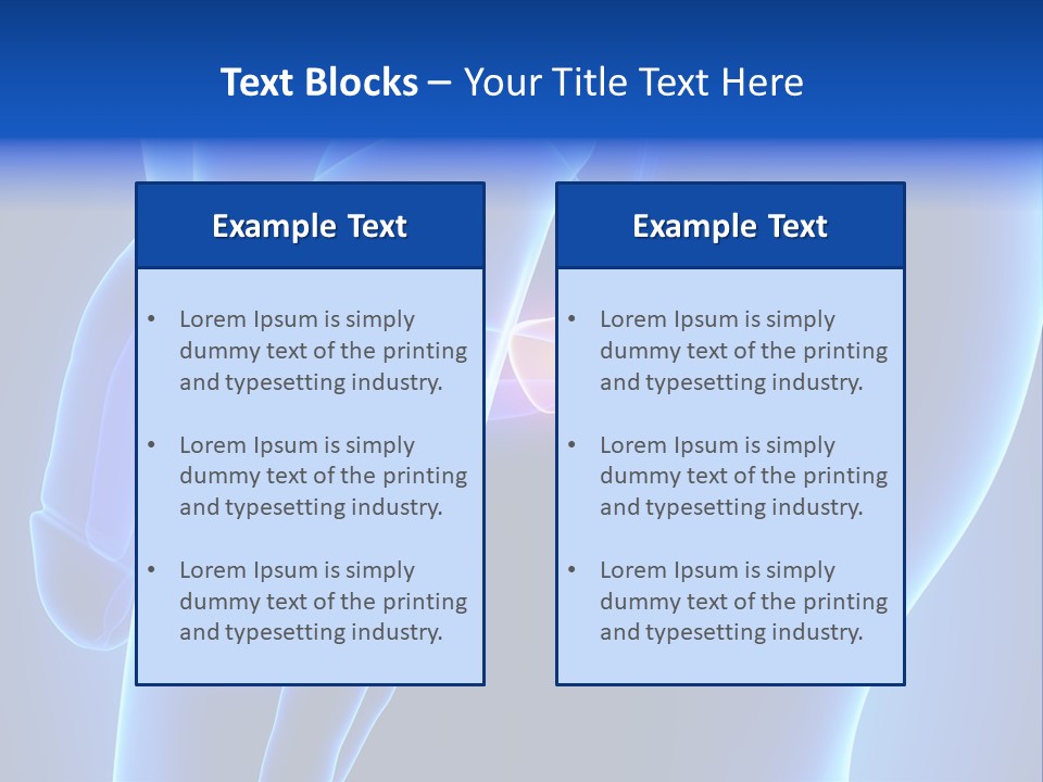 Birth Anatomical Frontal PowerPoint Template