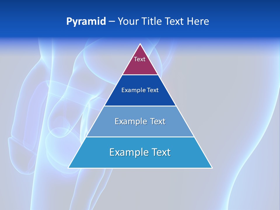 Birth Anatomical Frontal PowerPoint Template