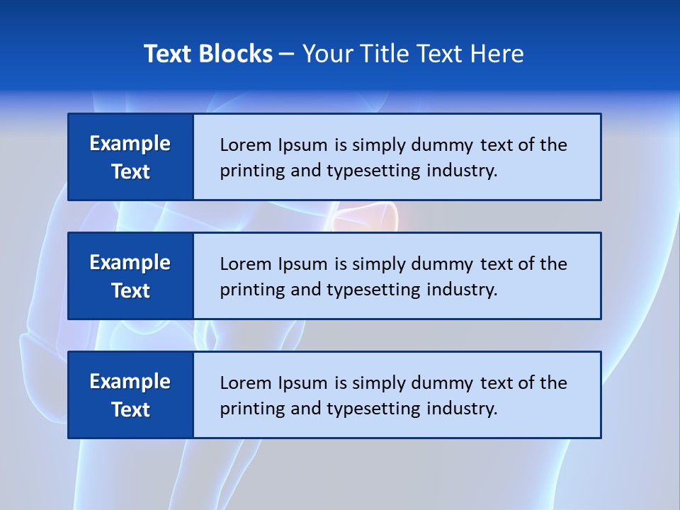Birth Anatomical Frontal PowerPoint Template