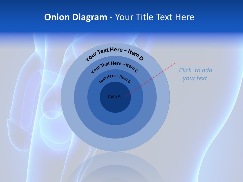 Birth Anatomical Frontal PowerPoint Template